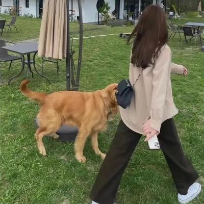 纯情罗曼史第三季